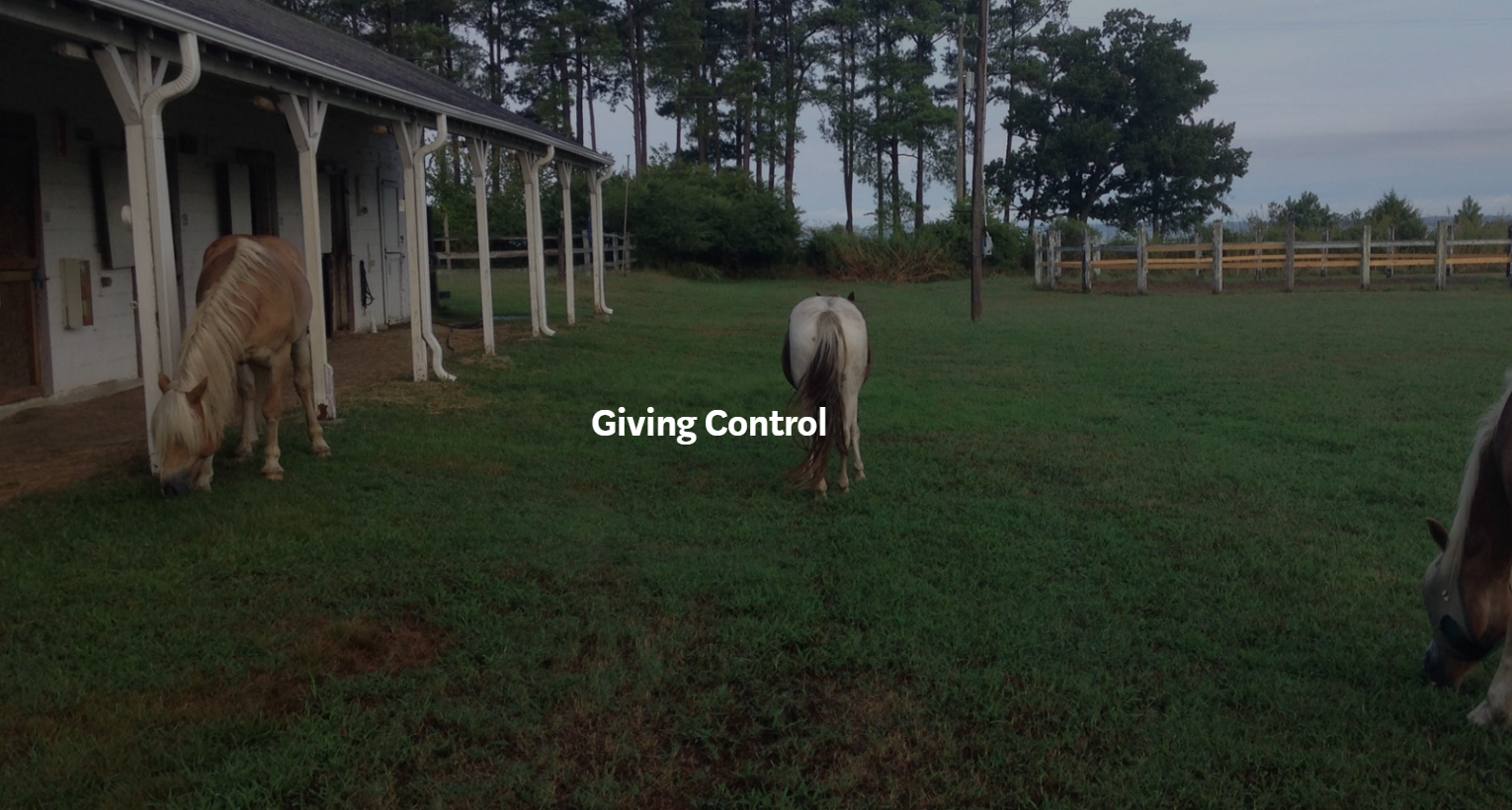giving control giving control