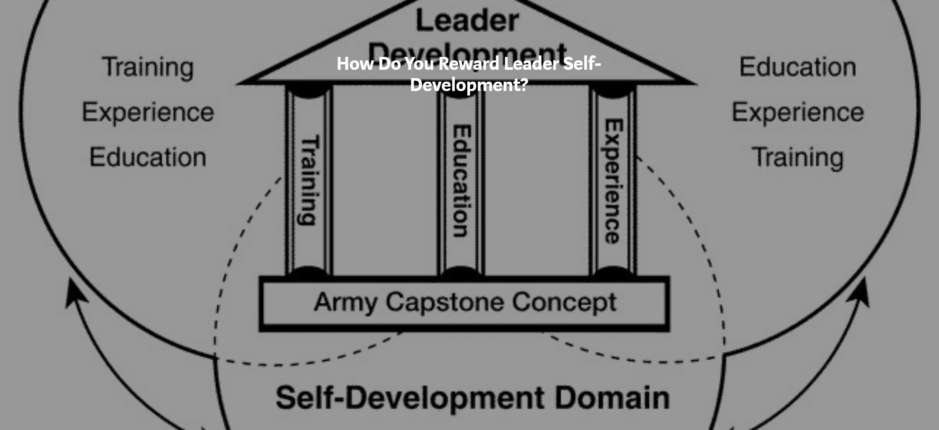 type of assignments characterize the operational training domain