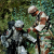 partners-thumbnail partners-thumbnail